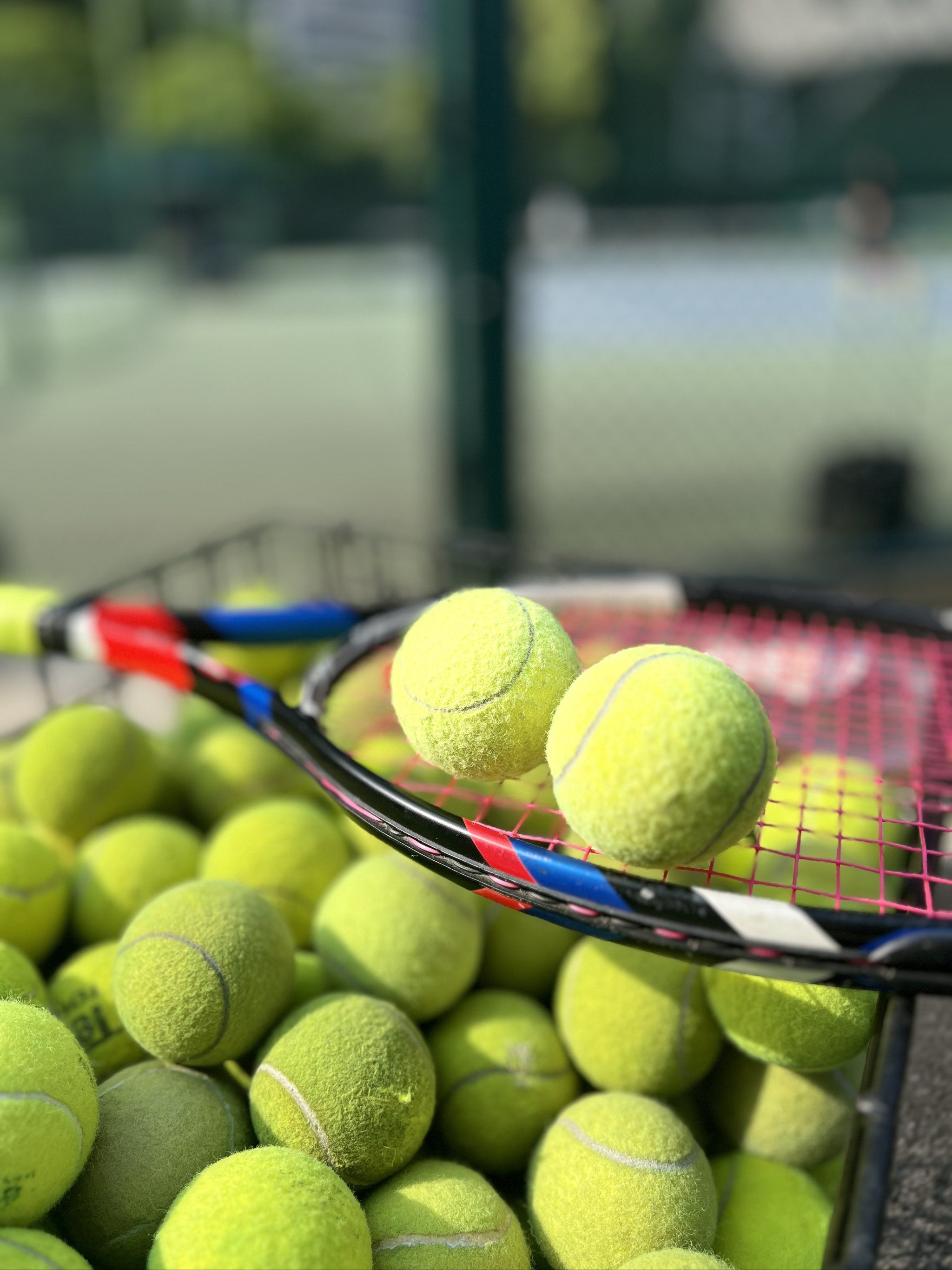 C罗的祝福 C罗的祝福